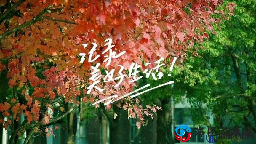 9.1 短视频，记录美好生活