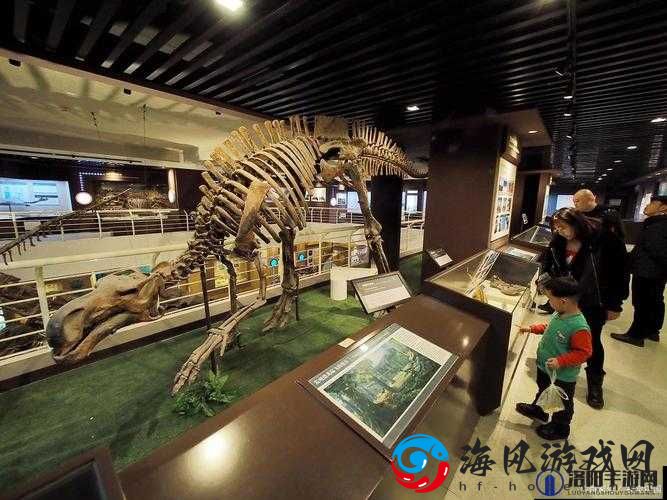 男生和女生差差：探索差异的奇妙之旅