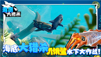 《英雄联盟》泽丽出装推荐：全新战场制霸之道！