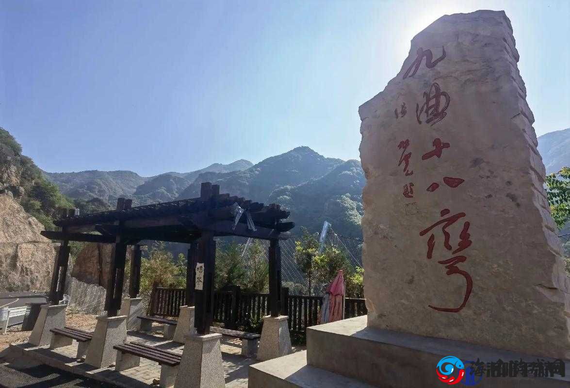 桂花婶是九曲十八弯：她的故事真精彩