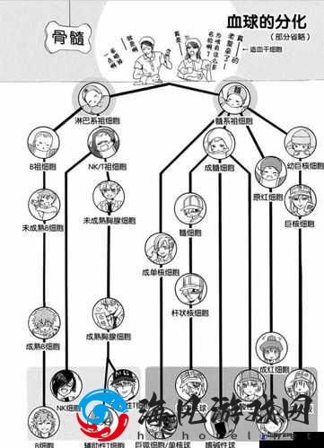 工作细胞：大作战安装及配置说明