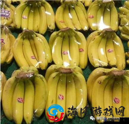 国产香蕉与进口香蕉价格比较-谁更具优势