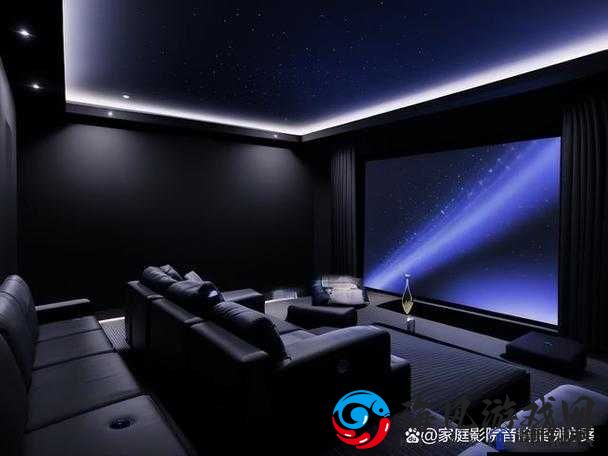 私人家庭影院 335：打造极致视听体验