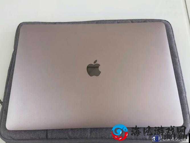 1819 岁 MACbook 是纯还是仿之探究