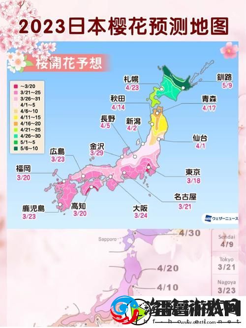 2023年樱花官方正版官入口，网友