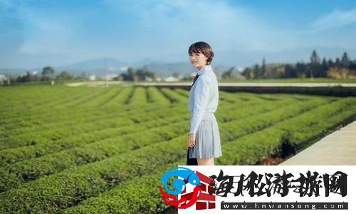 国产精华一曲二曲三曲