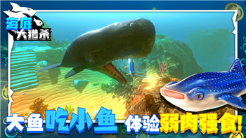 暗影格斗3怎么升级 暗影格斗3快速升级技巧！