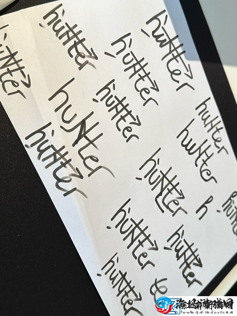 苦练签名NiKo及huNter写满签名方案