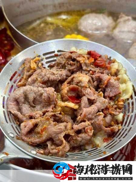 幻塔红烧肉烹饪秘籍解锁美味与力量的双重享受